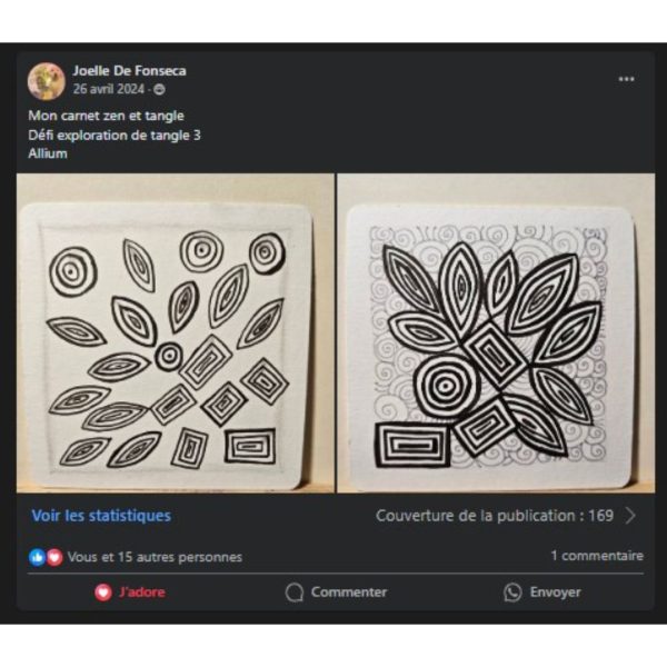 carnet zen & tangle 2 - témoignages 3