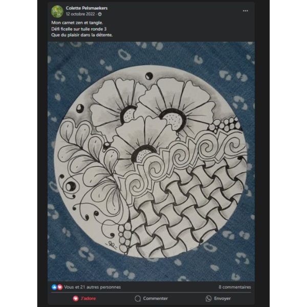 carnet zen & tangle 2 - témoignages