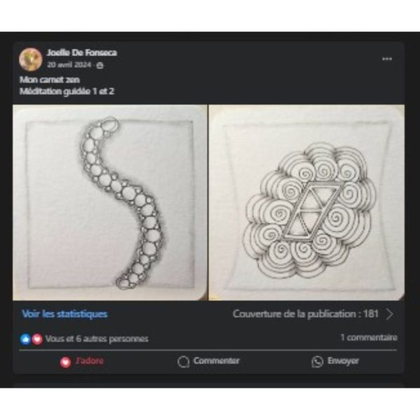 carnet zen & tangle 2 - témoignages 4