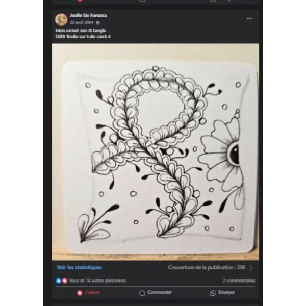 carnet zen & tangle 2 - témoignages 5