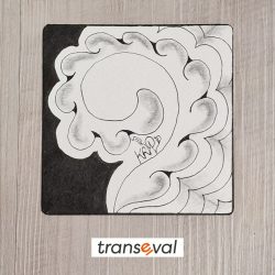 portfolio zentangle - flash-21-1-24