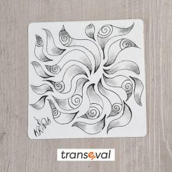 portfolio zentangle-flash-28-1-24
