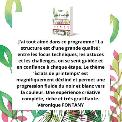 éclats de printemps -témoignages